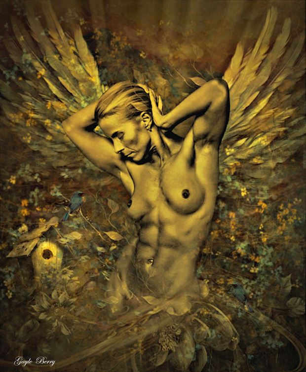 bluebird angel artistic nude artwork by artist gayle berry