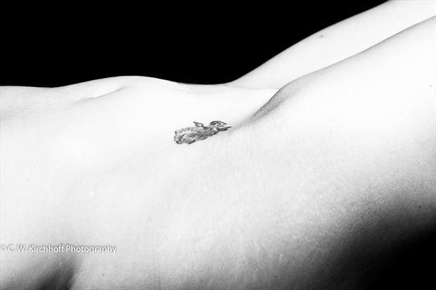body detail 7622 artistic nude photo by photographer c w kirchhoff