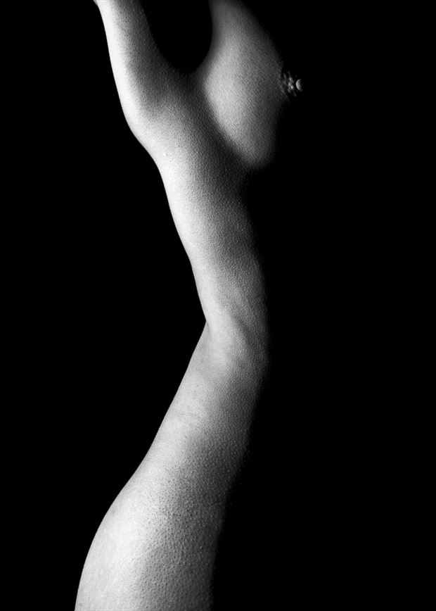 body scape artistic nude photo by photographer artytea