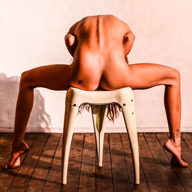 body shapes artistic nude artwork by model lalunagoddess