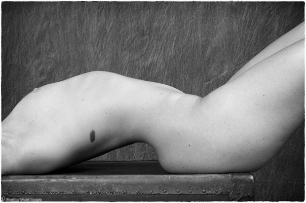 bodyscape Artistic Nude Photo by Photographer Floating World Images