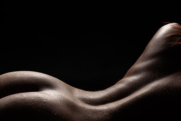 bodyscape artistic nude artwork by model diana revo