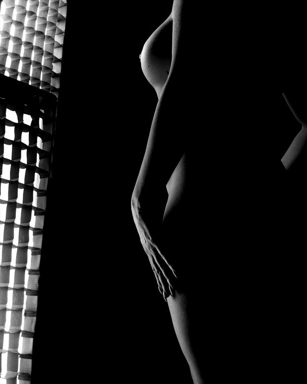 bodyscape artistic nude photo by model eva marie