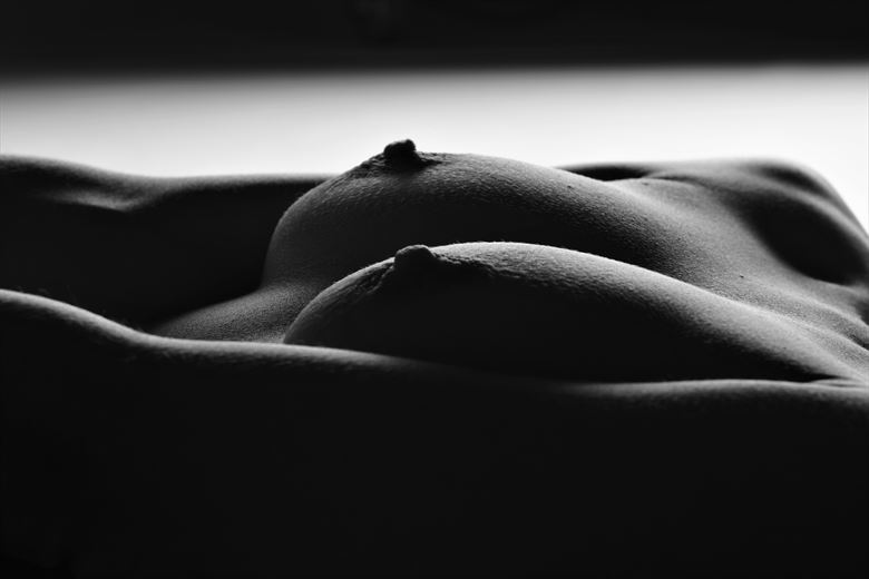 bodyscape artistic nude photo by photographer stenning 