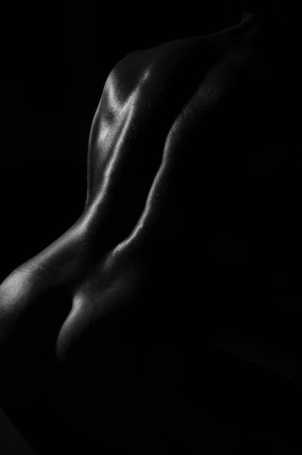 bodyscape no 1 artistic nude artwork by photographer pitaru