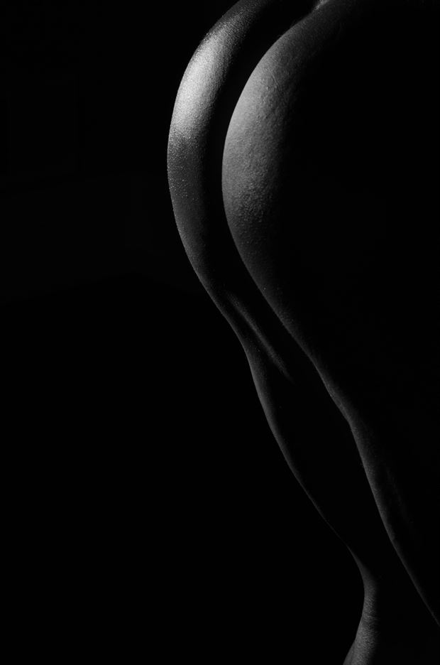bodyscape no 2 artistic nude artwork by photographer pitaru