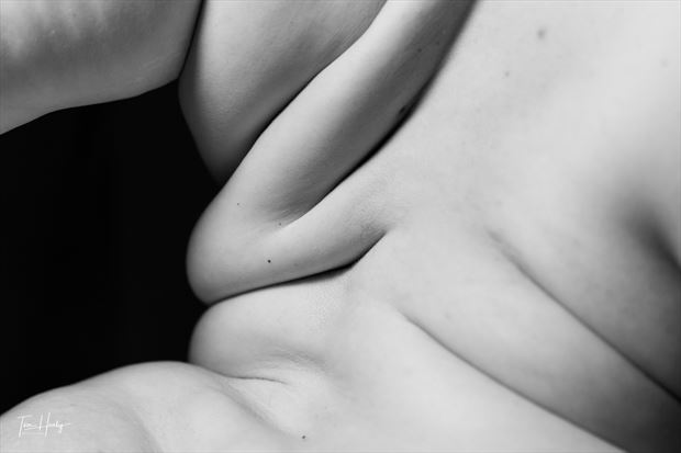 bodyscape paige artistic nude photo by photographer nwgeek