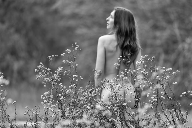 bokeh beauty artistic nude photo by photographer longleaf imagery