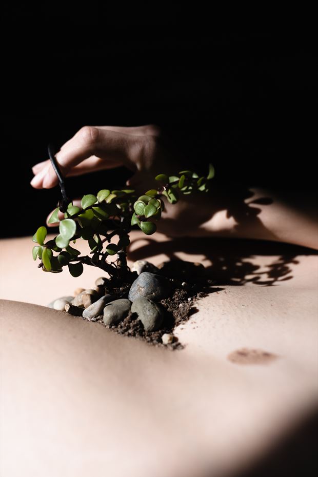 bonsai trim artistic nude artwork by photographer brendan louw