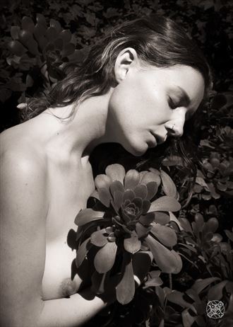 bouquet artistic nude photo by photographer poorx photography