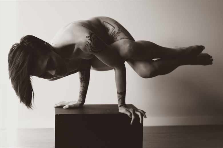 box pose tattoos photo by photographer irreverent imagery