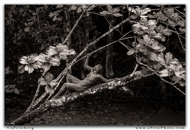 branch out artistic nude photo by photographer afeinberg