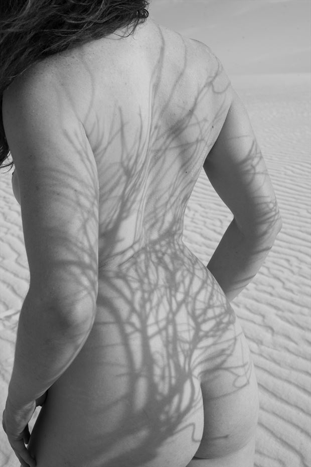 branch shadow artistic nude artwork by photographer gsphotoguy