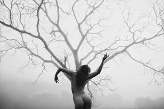 branches reaching self portrait artistic nude photo by model riley jade
