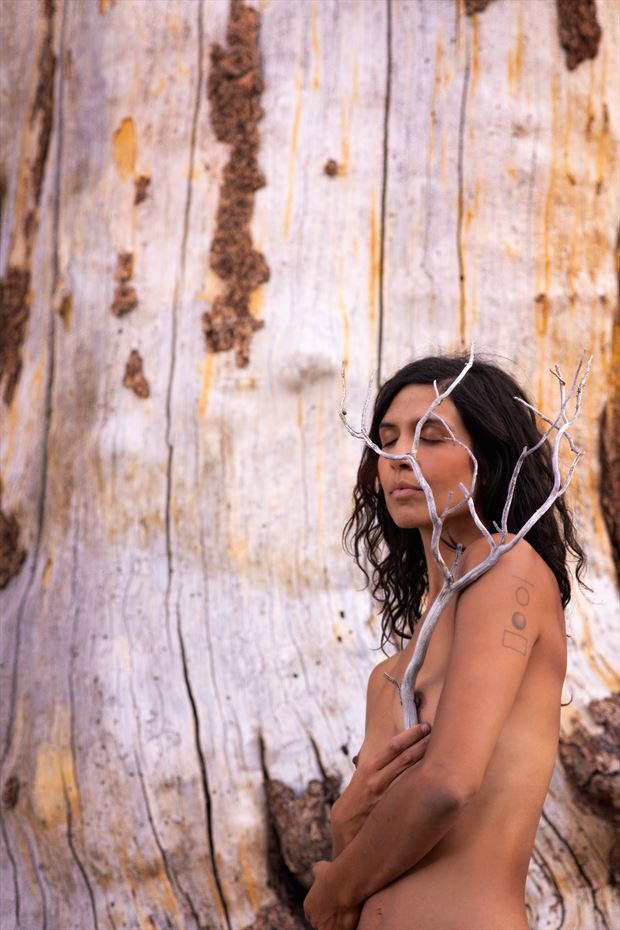 branching out artistic nude photo by model sirena earth