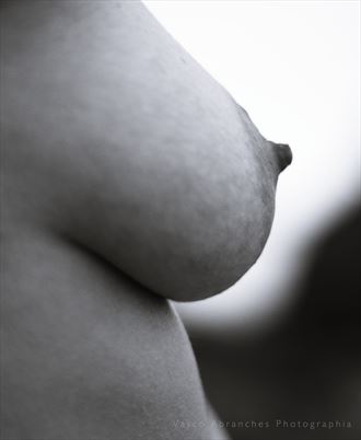 breast and landscape artistic nude photo by photographer vasco abranches