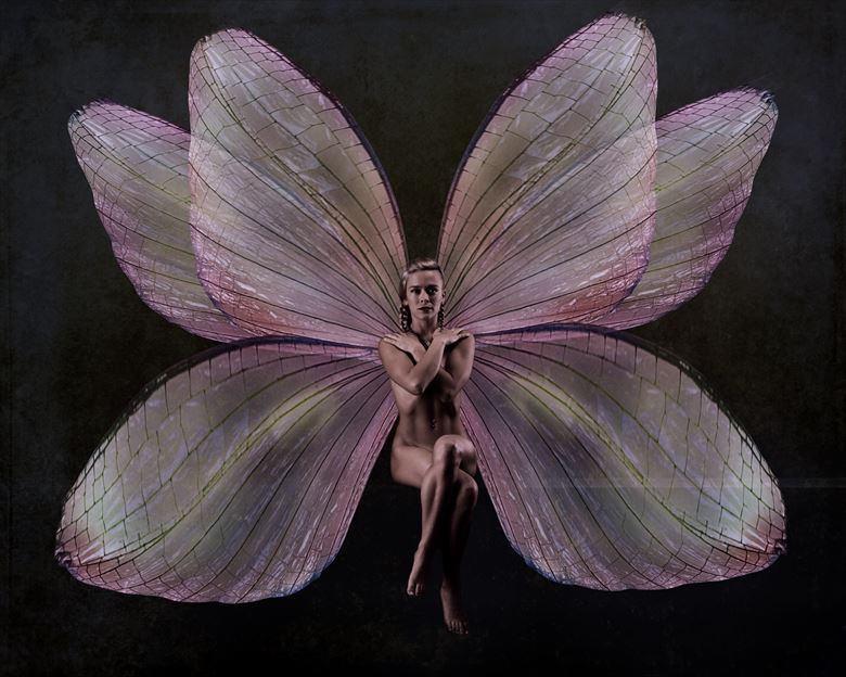 bri the pink fairy artistic nude artwork by photographer doc list