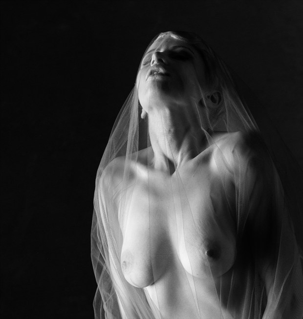 bridal veil 2 Artistic Nude Photo by Photographer Rod Cadenza