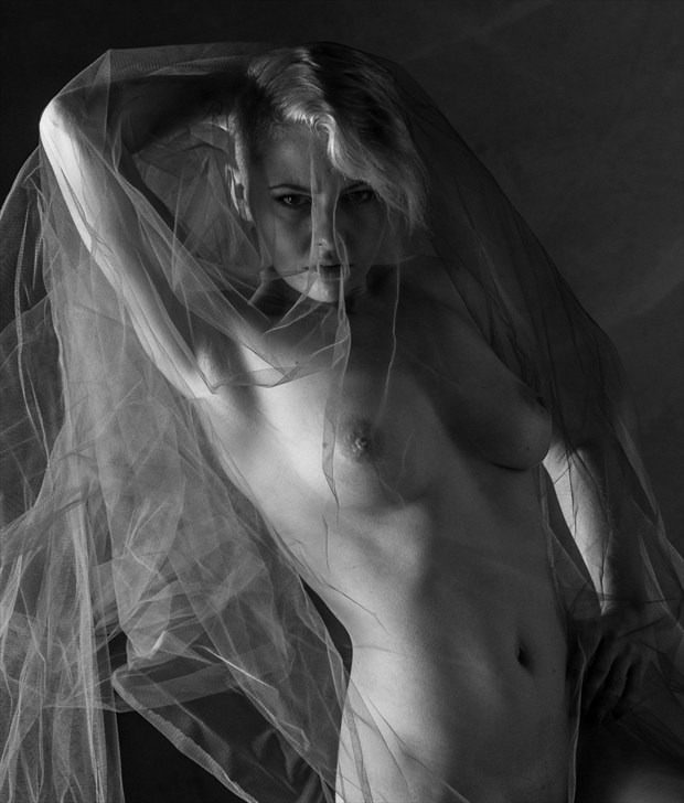 bridal veil Artistic Nude Photo by Photographer Rod Cadenza