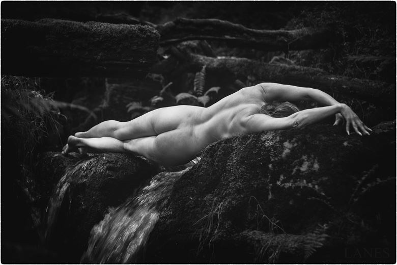 bridge artistic nude photo by photographer lanes photography