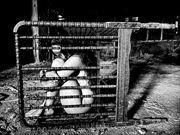 broken barriers implied nude photo by model xaina fairy