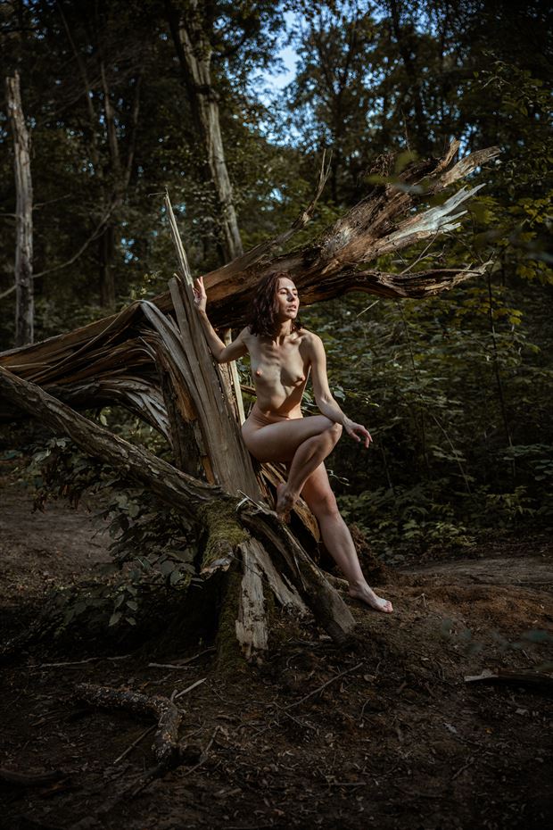 broken tree artistic nude photo by photographer sk photo