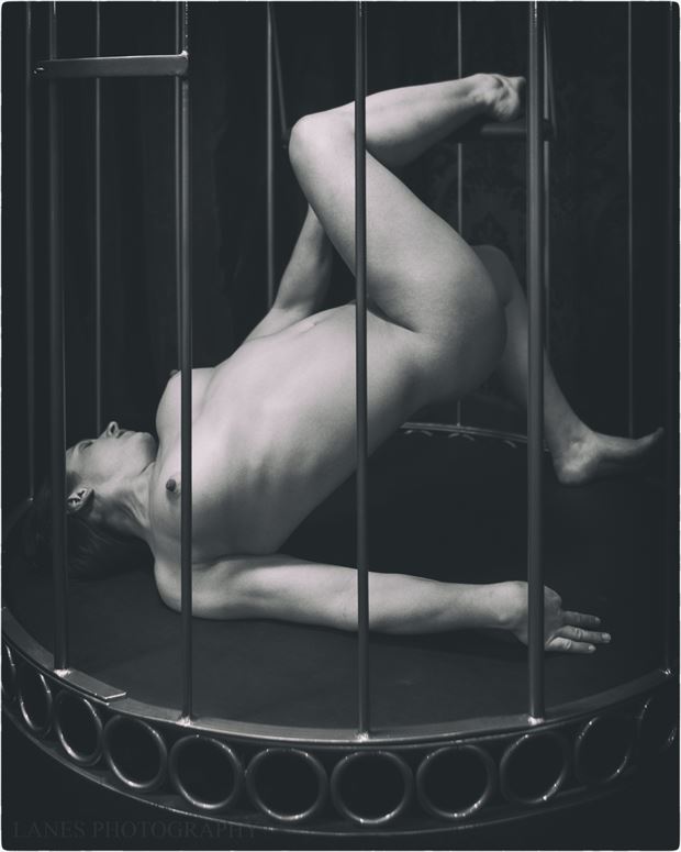 broken wing artistic nude photo by photographer lanes photography