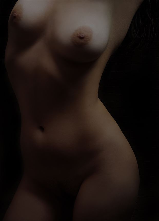 bust of venus artistic nude artwork by artist hruby