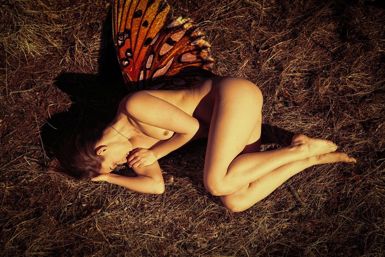 but her fly artistic nude artwork by model fearra lacome