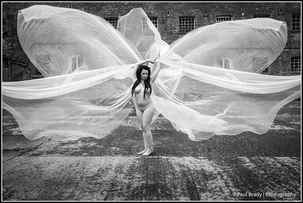 butterfly artistic nude photo by photographer paul brady