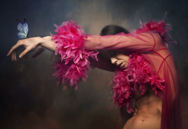 butterfly effect lingerie artwork by photographer richard byrne