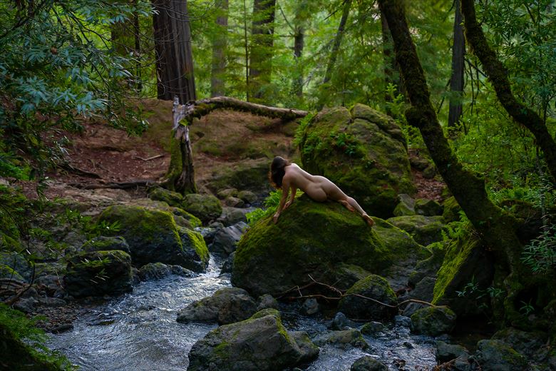 by the stream artistic nude photo by photographer dan van winkle
