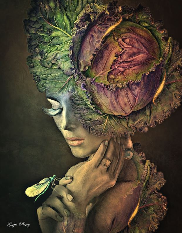 cabbage moth surreal artwork by artist gayle berry