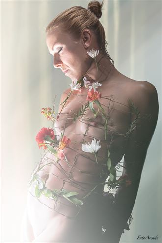 caged with flowers artistic nude photo by photographer fotoarcade