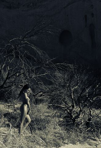 cajon ii artistic nude photo by photographer gregb