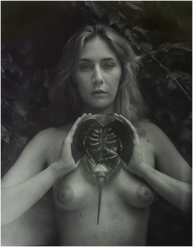 calypso ghost artistic nude photo by photographer cheshire scott