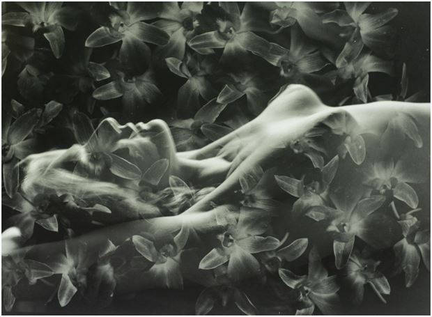 calypso ghost artistic nude photo by photographer cheshire scott
