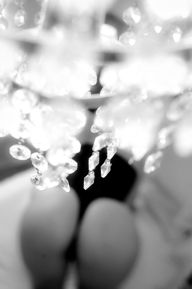 camila artistic nude photo by photographer nelson alves jr