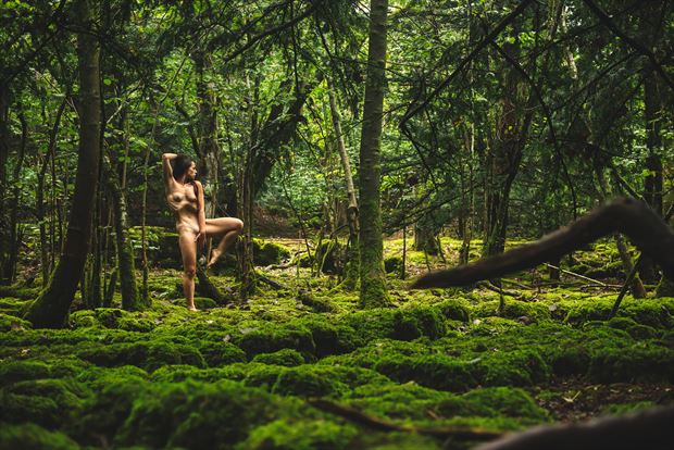 camouflage artistic nude photo by photographer neilh