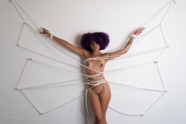 camushii artistic nude photo by photographer daswhitney