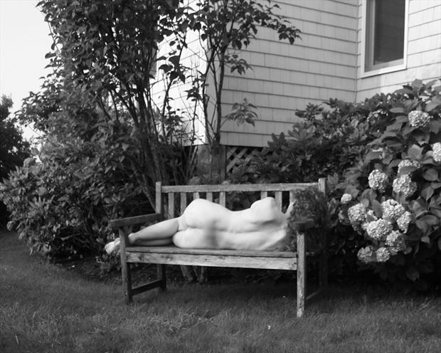 cape cod catnap artistic nude photo by photographer silverline images