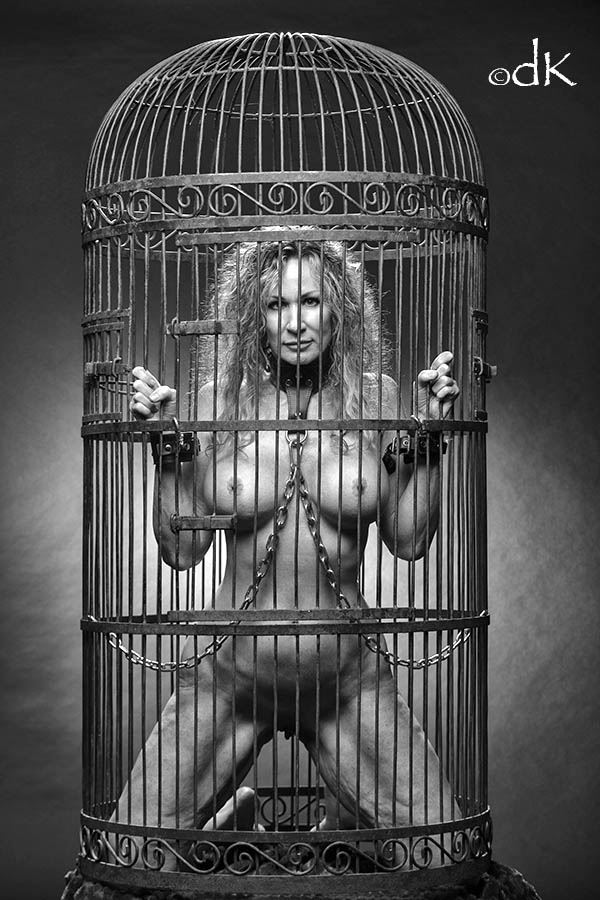 captive erotic photo by photographer dkeos
