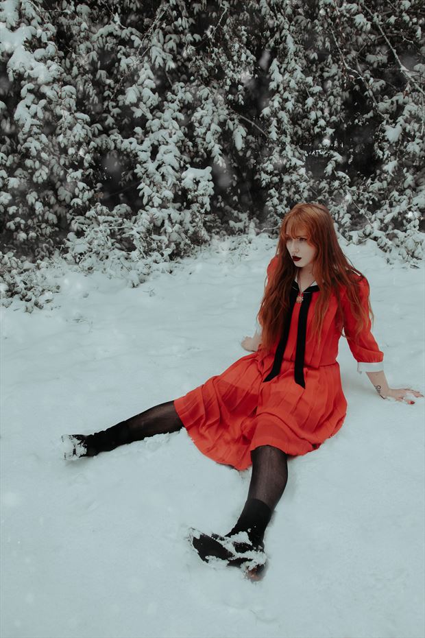 cardinal in the snow vintage style photo by model lilithjenovax