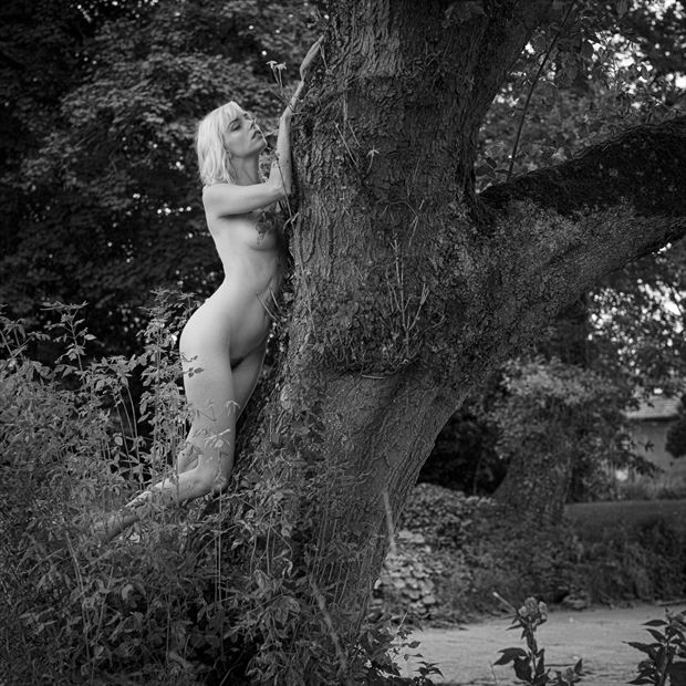 caressing artistic nude photo by photographer ludwigdesmet
