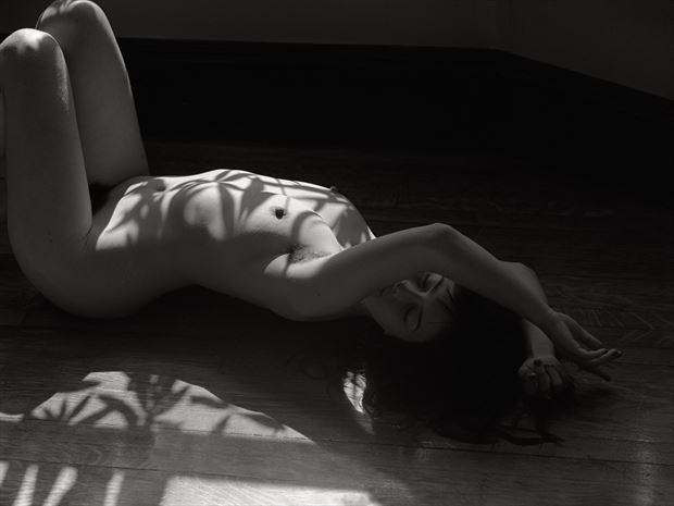 chiaroscuro natural light photo by photographer peaquad imagery
