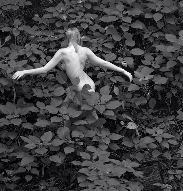 child in forest artistic nude photo by photographer shadowscape studio