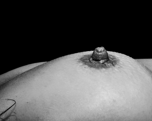 chloe s nipple artistic nude photo by photographer david zane