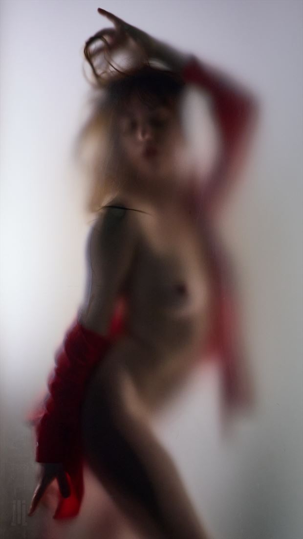 christelle with frosted door artistic nude photo by photographer james landon johnson