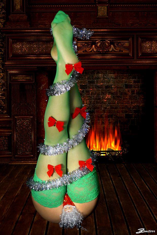 christmas tree artistic nude artwork by photographer zmiterr
