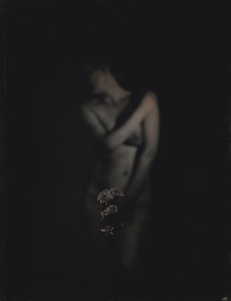 ciry wet plate on 6 5 x8 5 full plate tintype artistic nude photo by photographer mike willingham